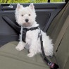 Bezpečnostní Pás pro psa do Auta